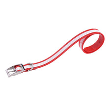 Load image into Gallery viewer, SSC002TY TPU Luminous Dog Collar Adjustable Durable Waterproof Night Safe Pet Collar Strap