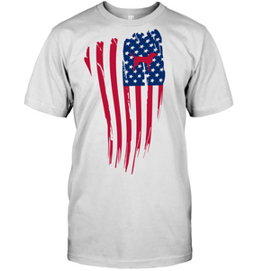 American flag with Lab